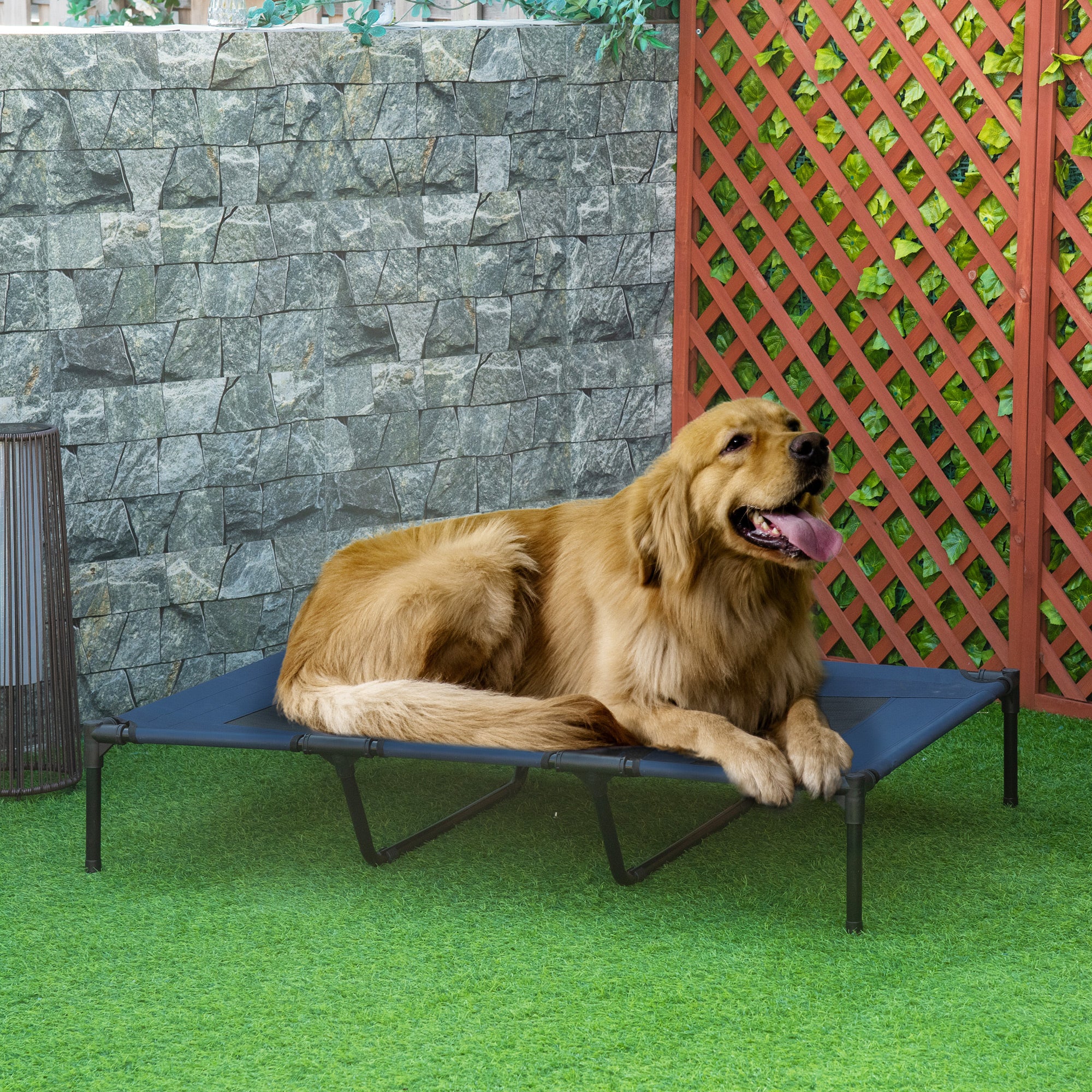 Dog lying on a raised blue pet bed in an outdoor setting 