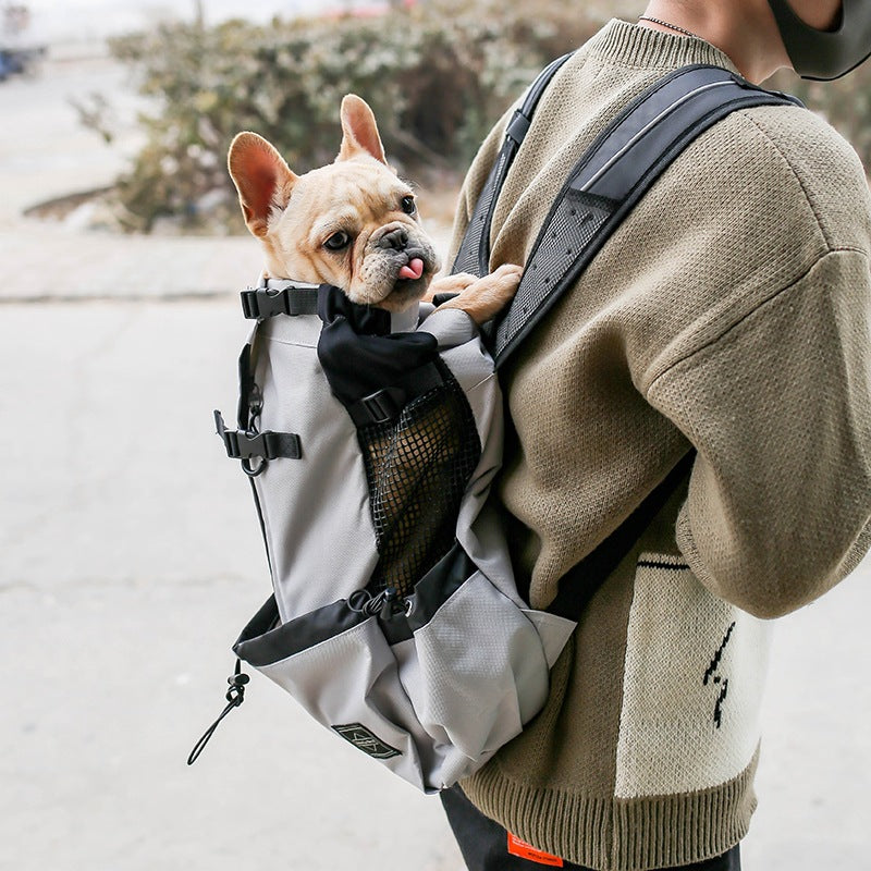 Person carrying a small dog in a backpack