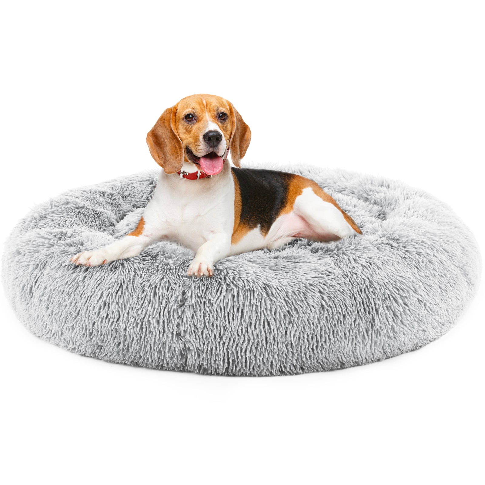 Small dog lying on a fluffy round gray pet bed 