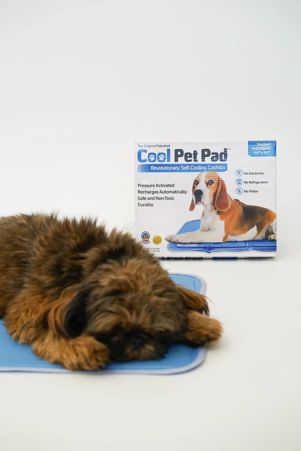 Cool Pet Pad with a dog lying on it and its packaging in the background.