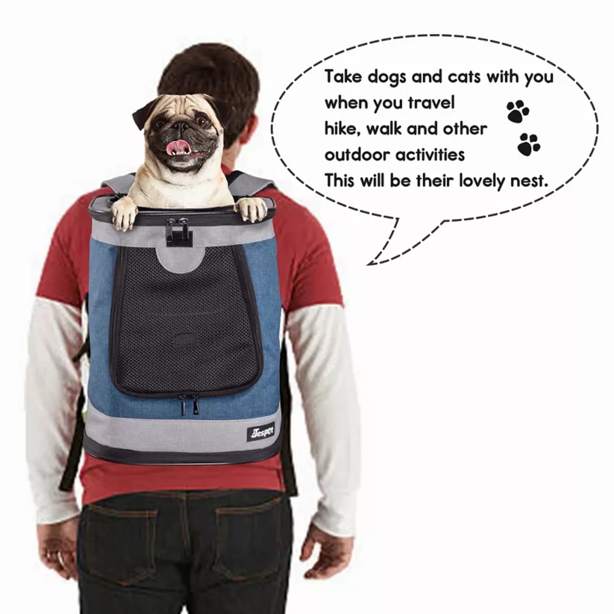 Person wearing a backpack with a dog inside,