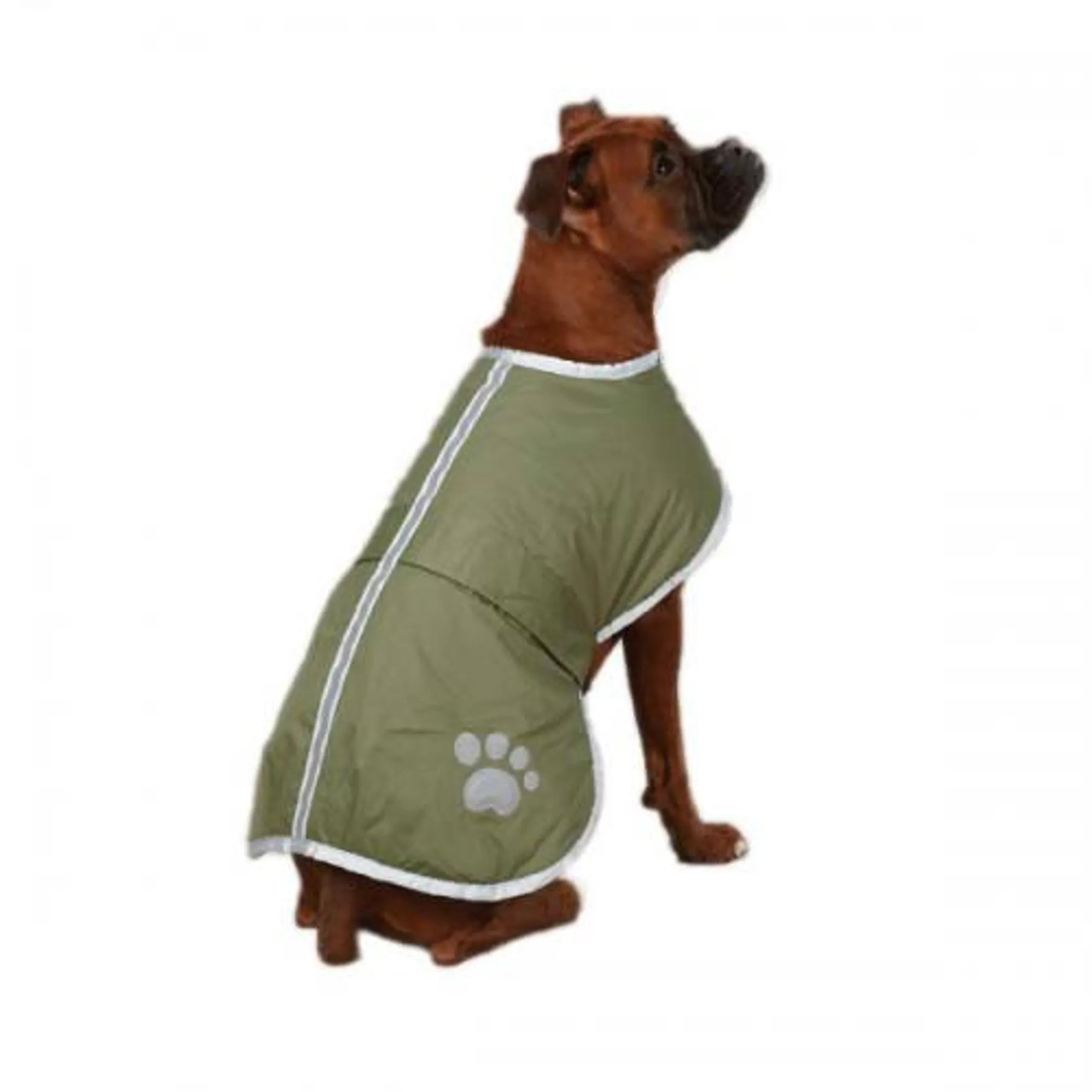 Dog wearing a green coat with a paw print