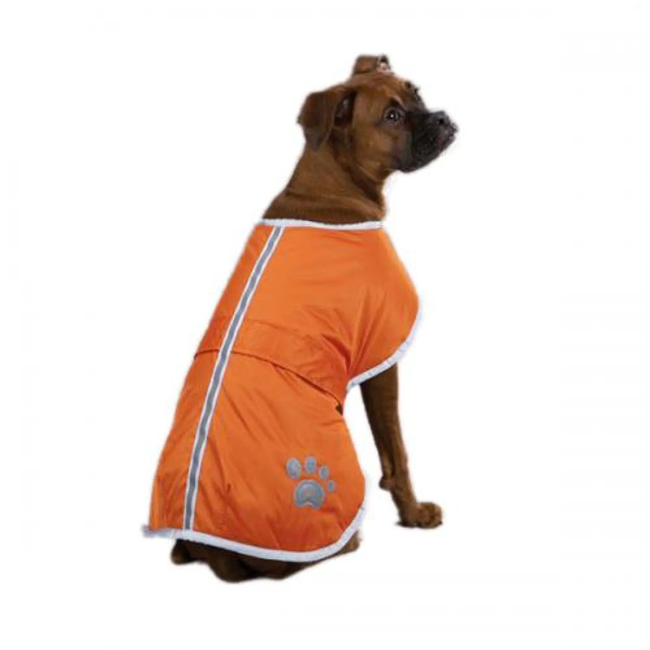 Dog wearing an orange coat with a paw print 
