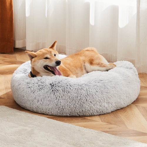 Dog lying on a fluffy gray pet bed in a home setting