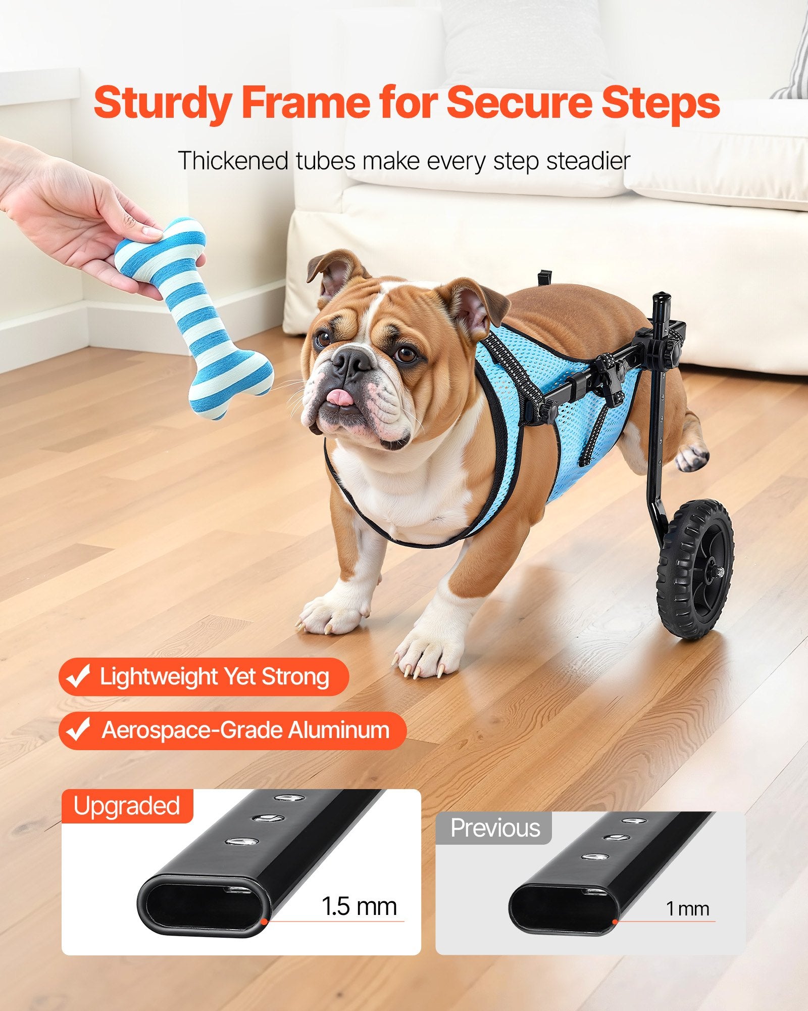 Dog in a wheelchair with a toy, standing on a wooden floor with hind legs raised