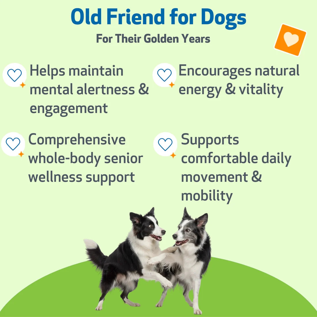 Old Friend - Immune System & Joint Health for Senior Dogs
