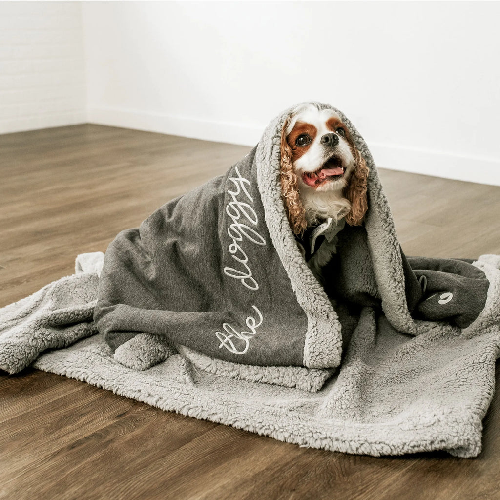 Dog wrapped in a gray blanket on a wooden floor.