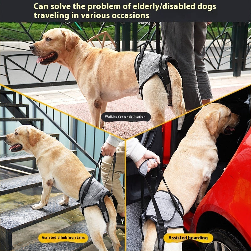Collage of a dog using a harness for assisted climbing stairs and boarding, with text indicating its use for elderly or disabled dogs.