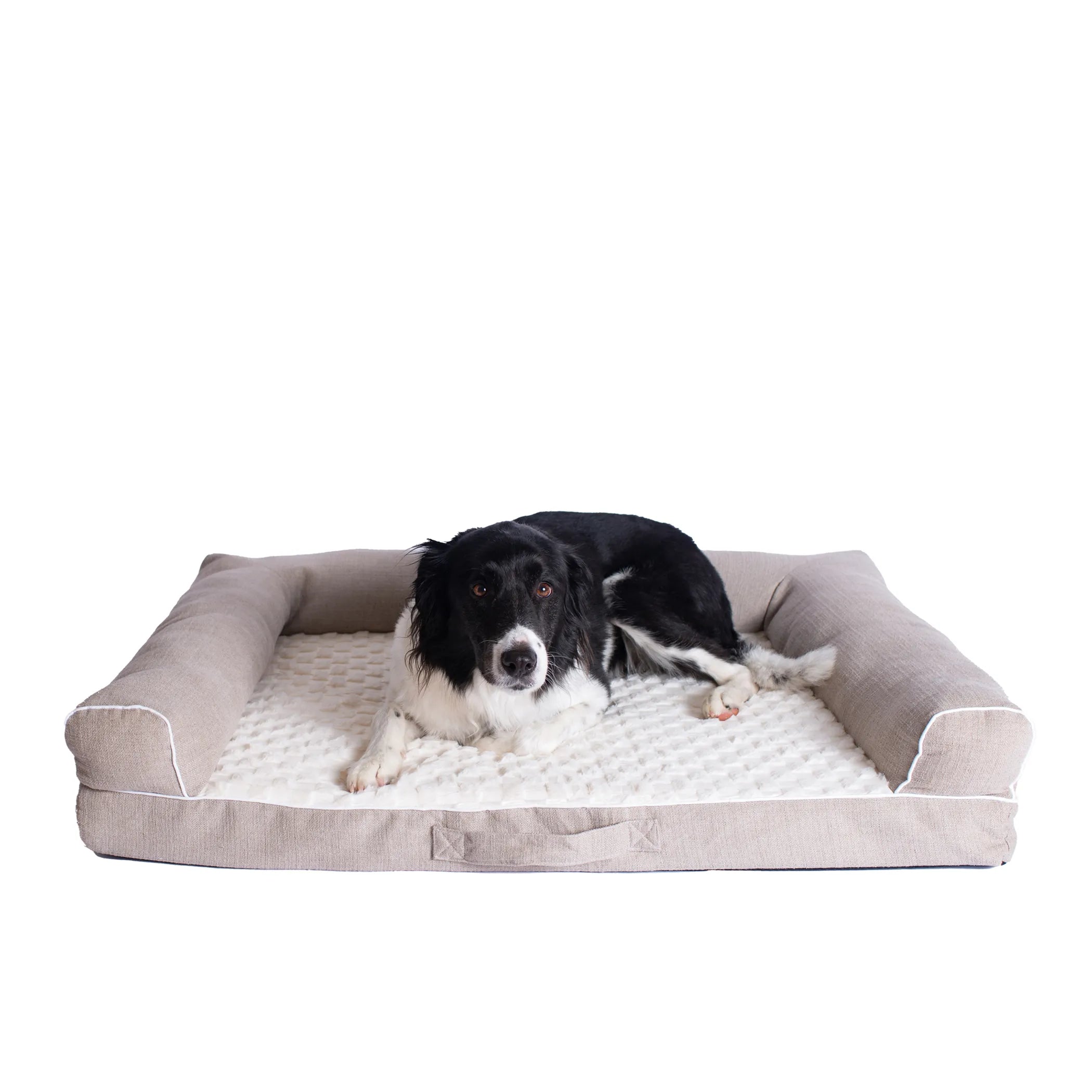 Dog lying on a beige orthopedic pet bed