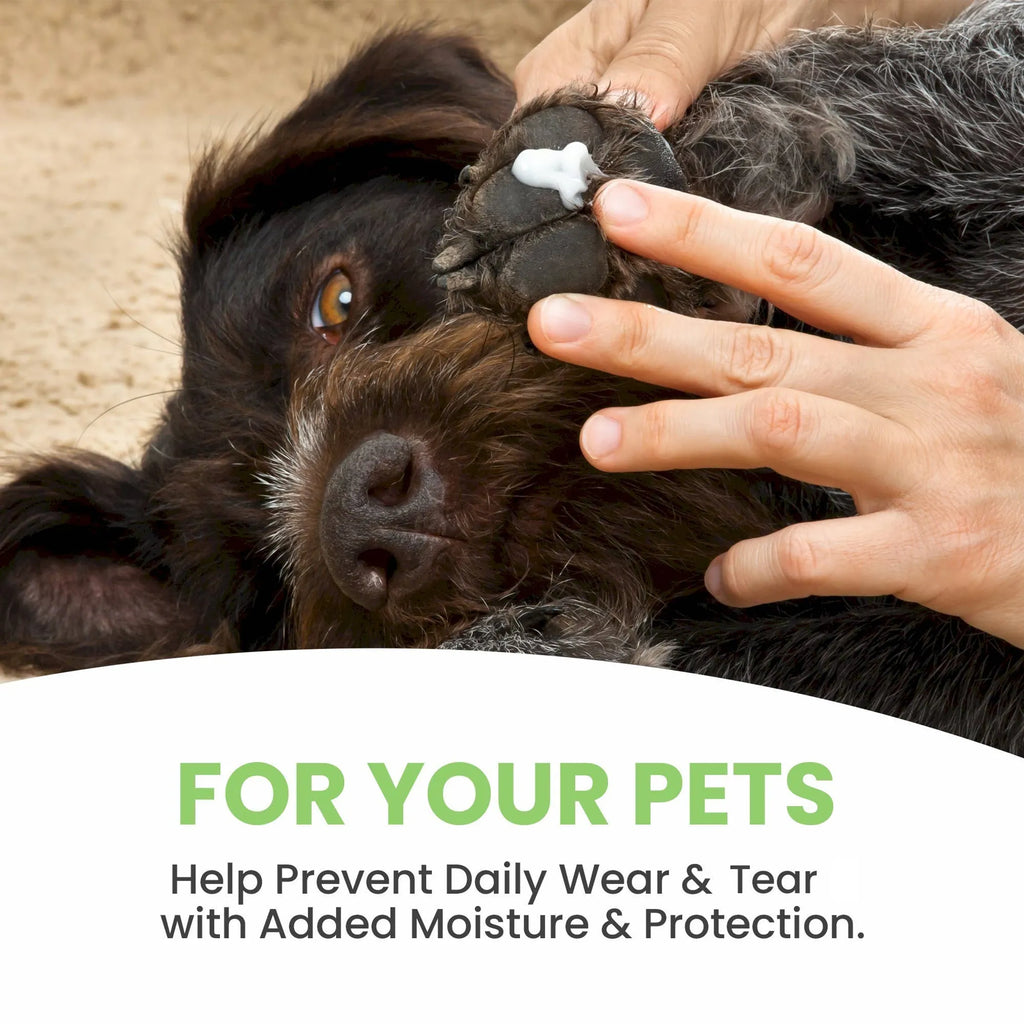 Dog with Aroma Paws paw conditioner being applied 