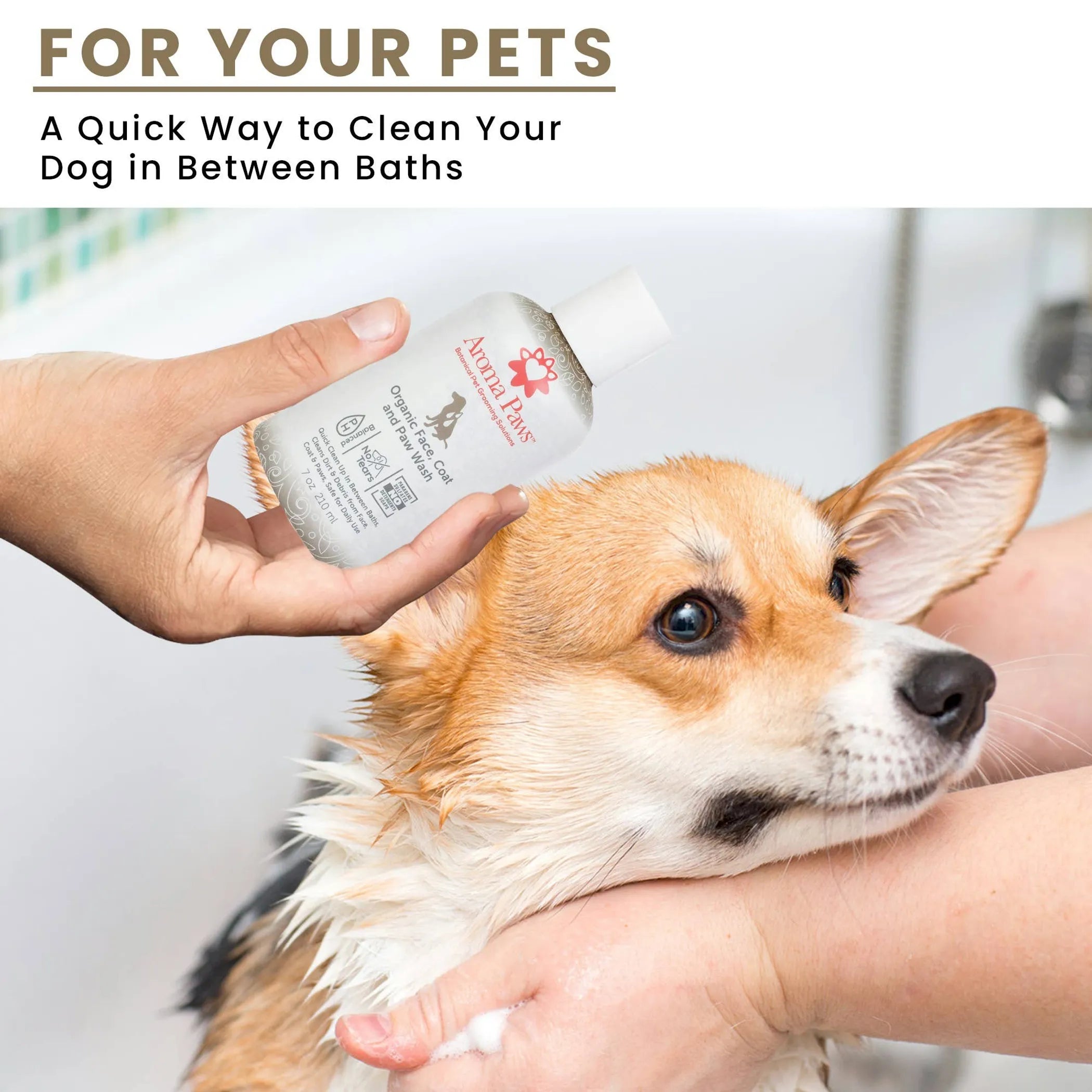 Person applying Aroma Paws Face, Coat, and Paw Wash to a dog with text about cleaning pets between baths.