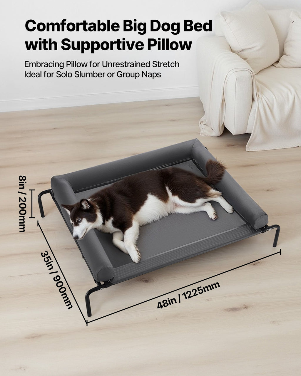 Dog lying on a large gray raised pet bed with head on pillow. Dimensions displayed