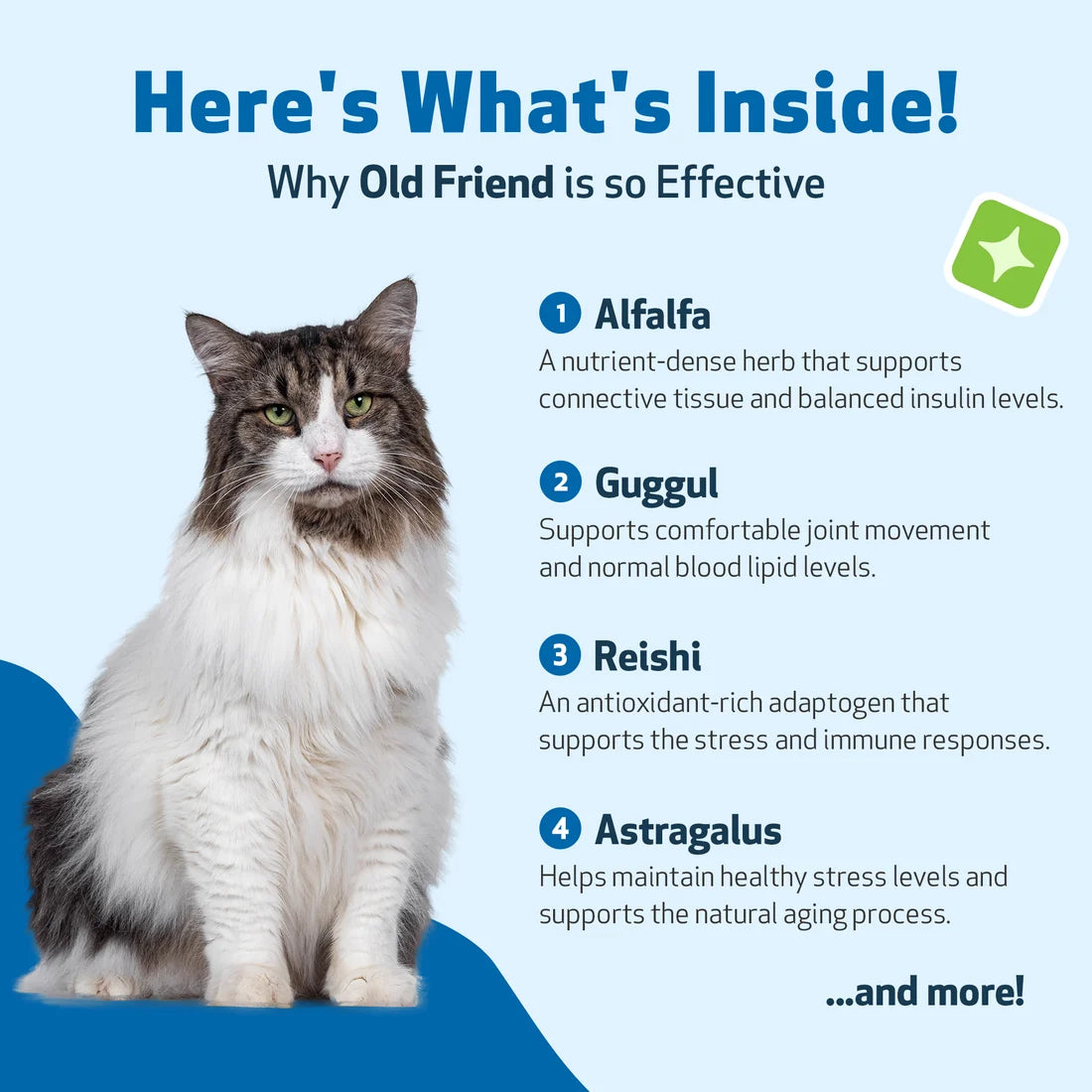 Old Friend - Immune System & Joint Health for Senior Cats