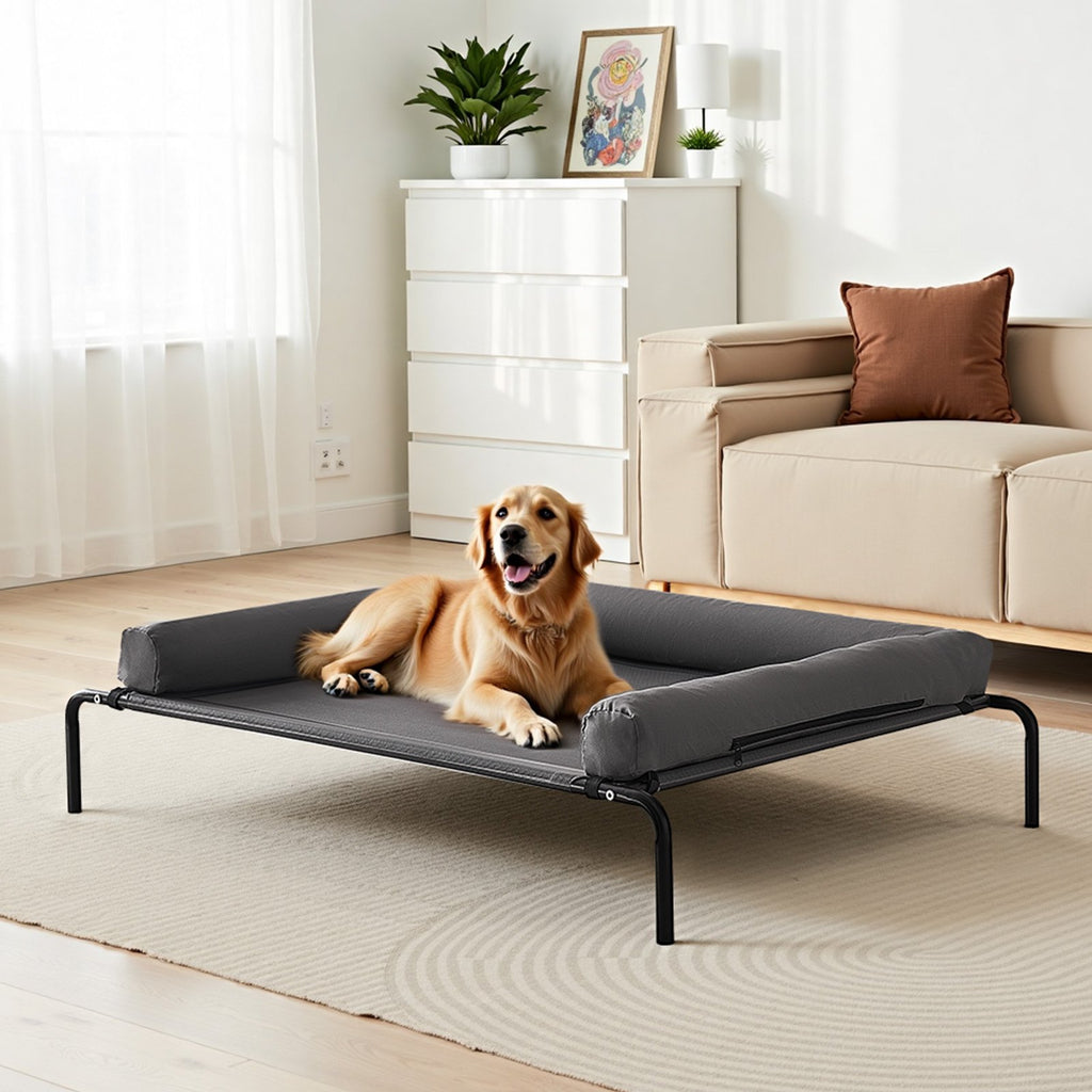 Dog lying on a elevated pet bed in a living room.