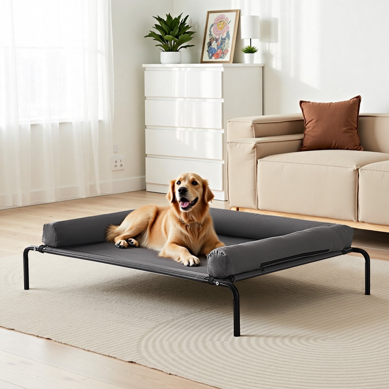 Dog lying on a elevated pet bed in a living room.