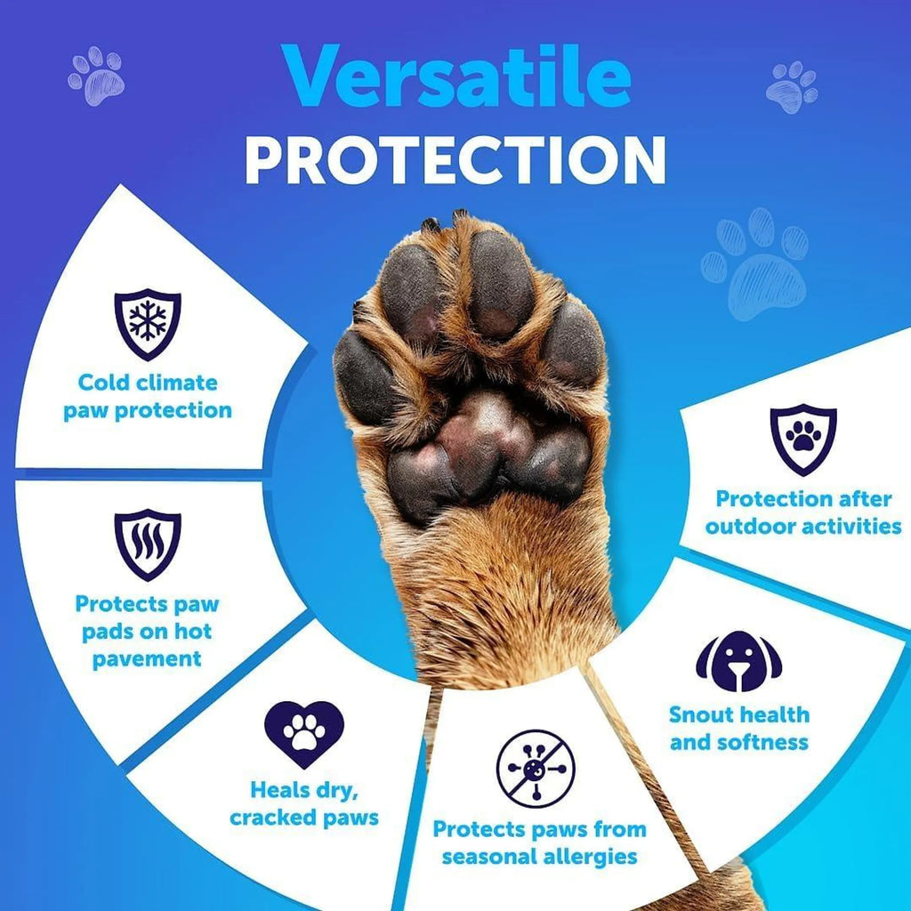 Dog paw with protection features of paw balm