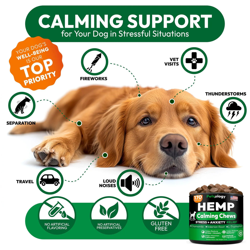 Hemp Calming Chews for Dogs
