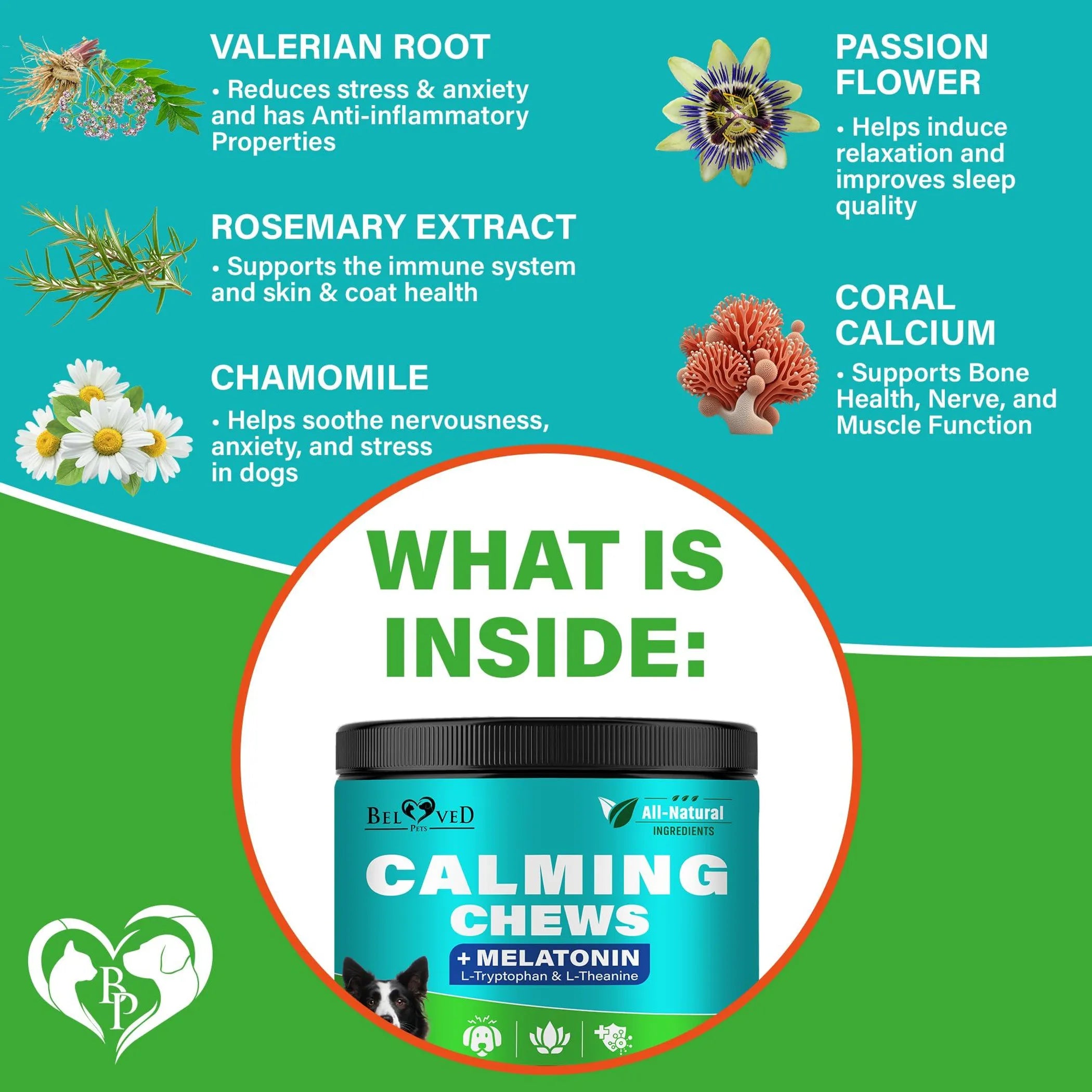 Hemp Calming Chews for Dogs from Beloved Pets
