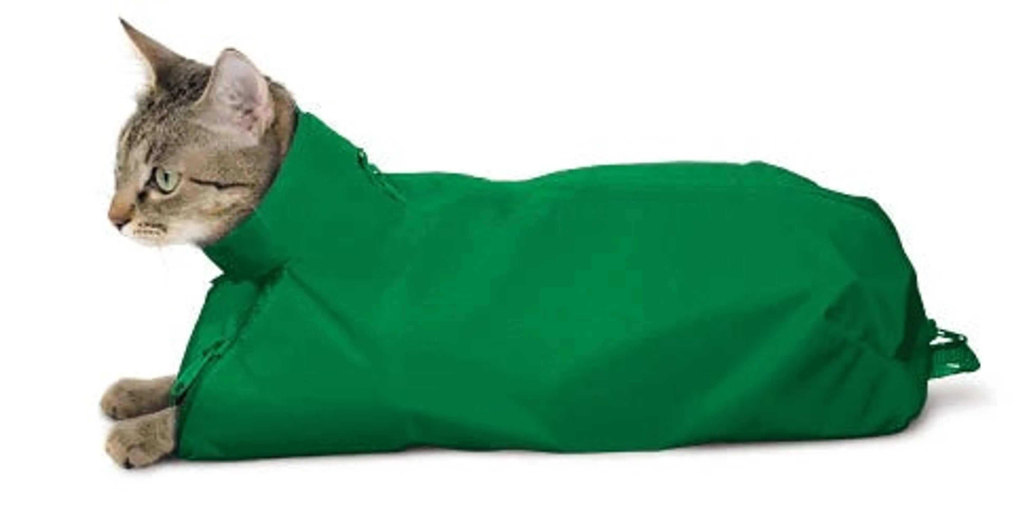 Original Cat Sack