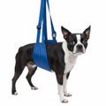 The Original Quick Lift for Dogs | Secure Mobility; Bath-Time Stability; S-XL
