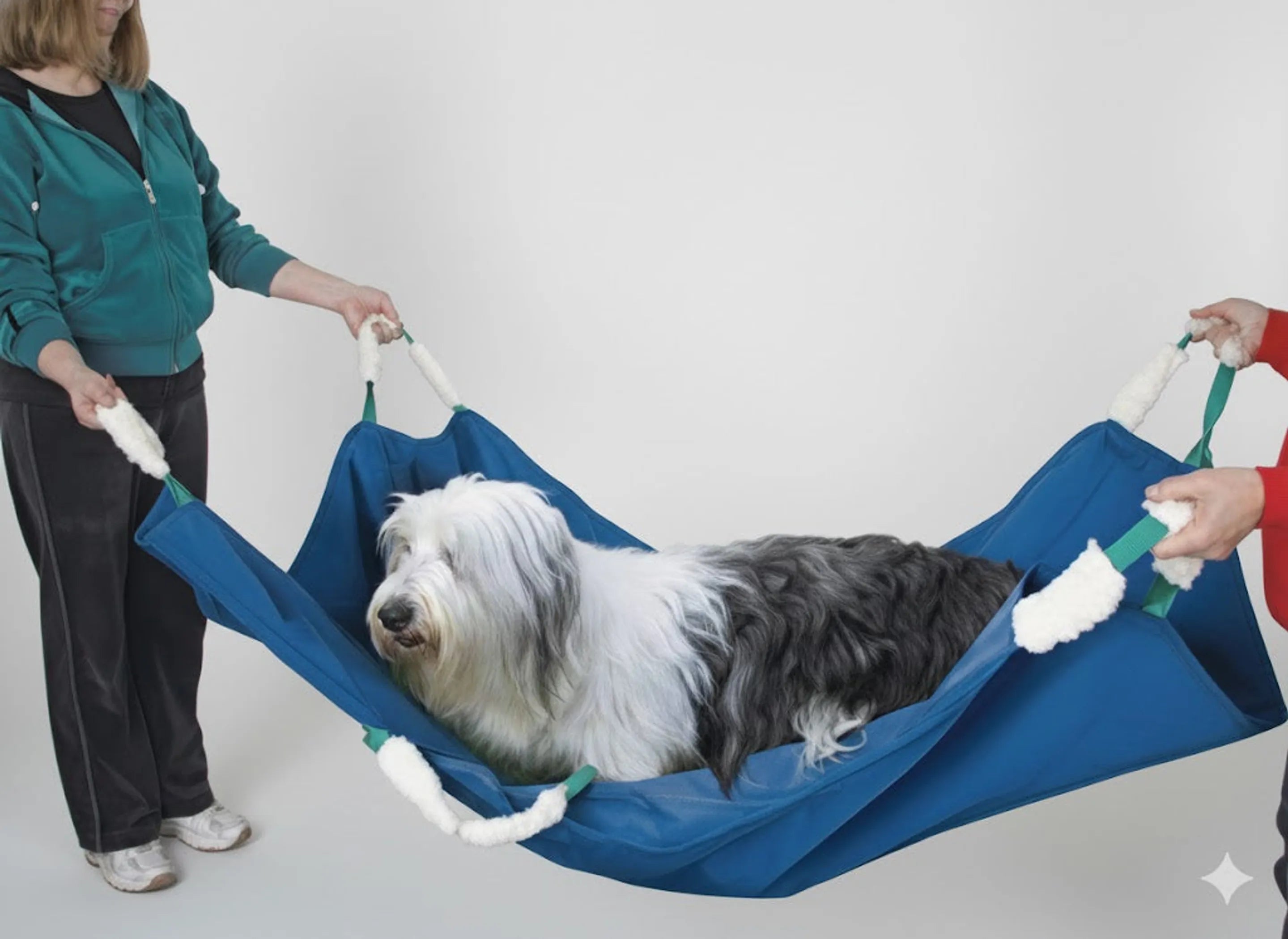 Large dog lying in a blue pet stretcher held by two people