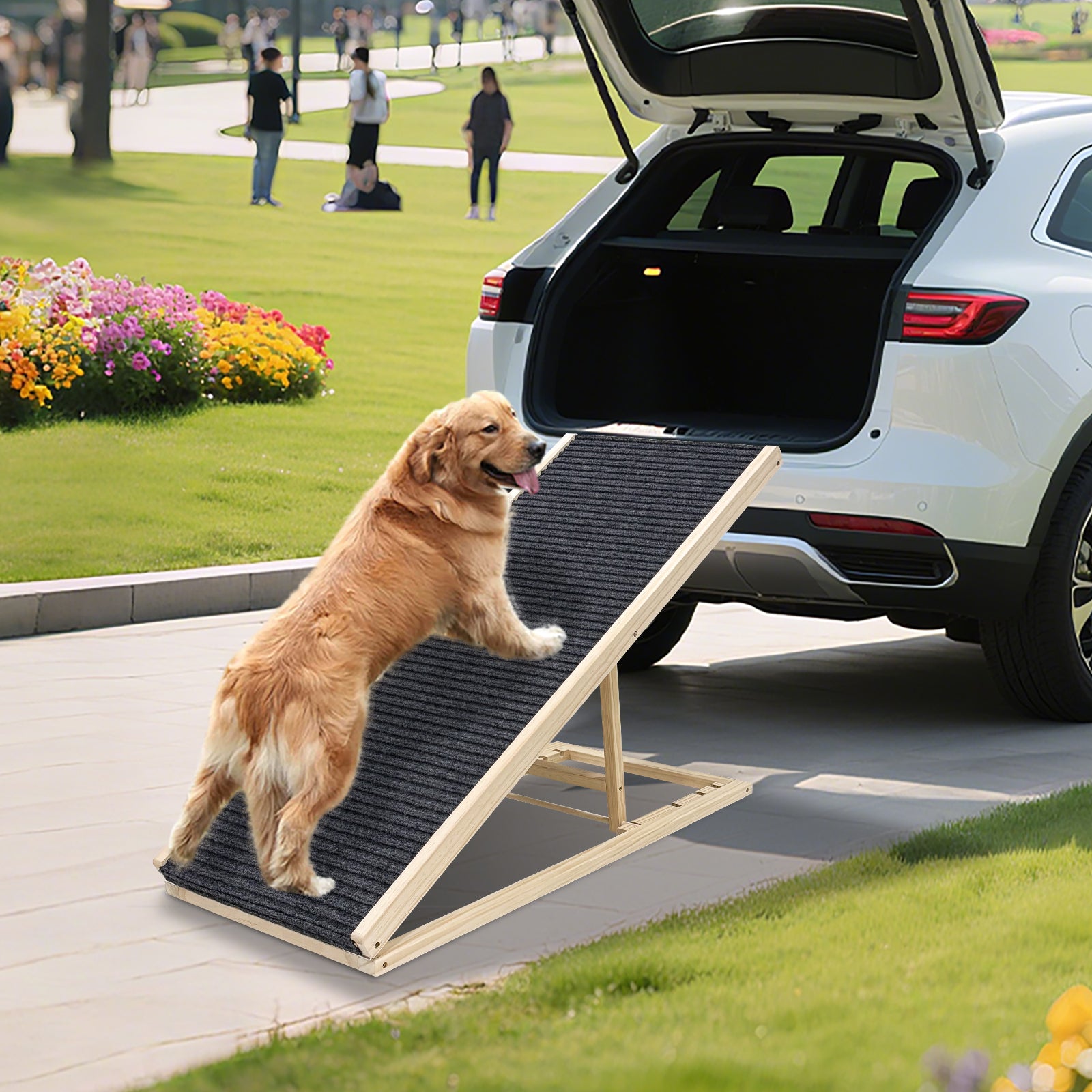 Medium sized dog using a ramp to enter a car in a park setting
