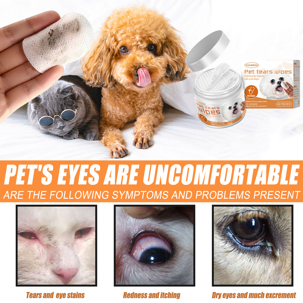 Dog and cat with pet tear wipes and symptoms of eye discomfort.
