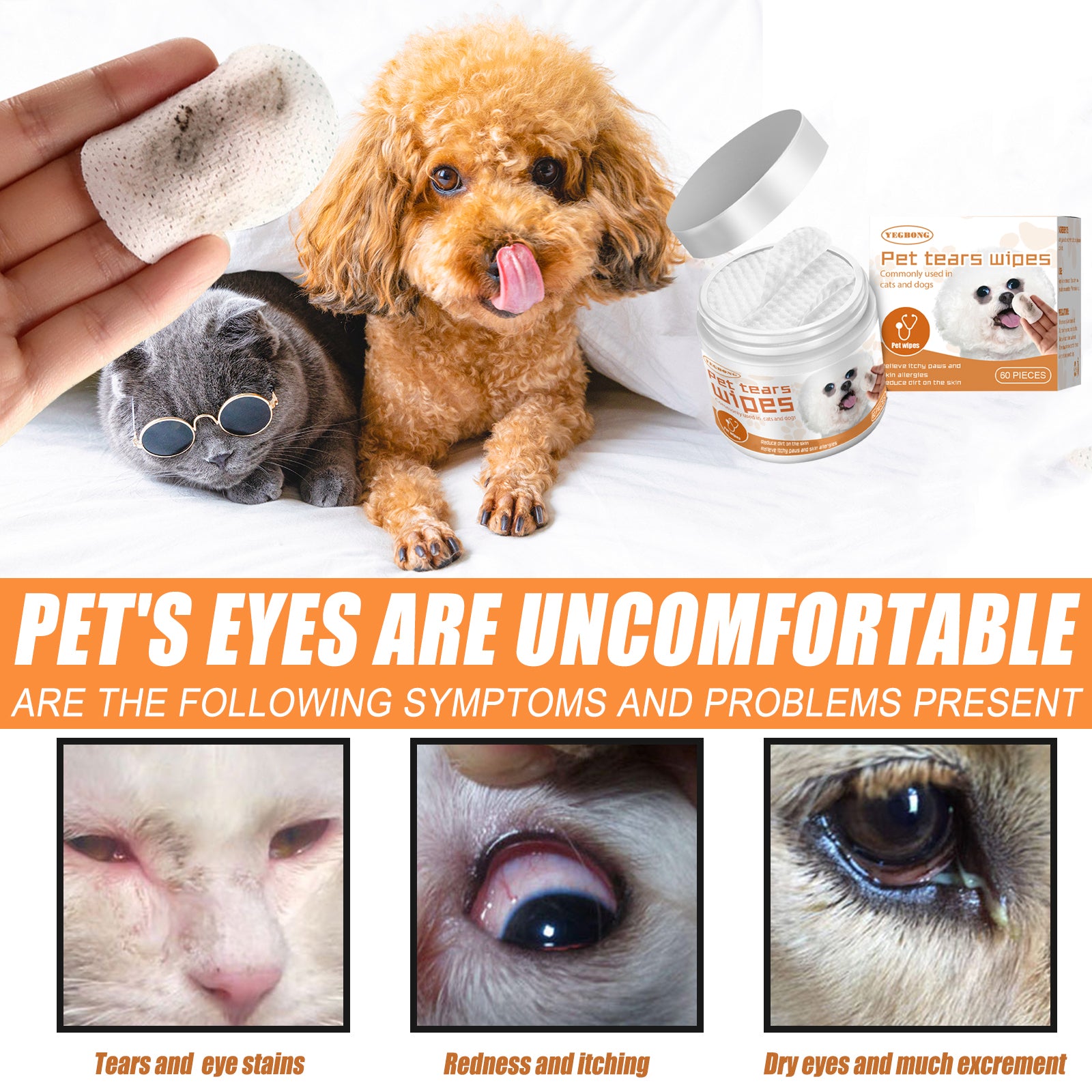 Dog and cat with pet tear wipes and symptoms of eye discomfort.