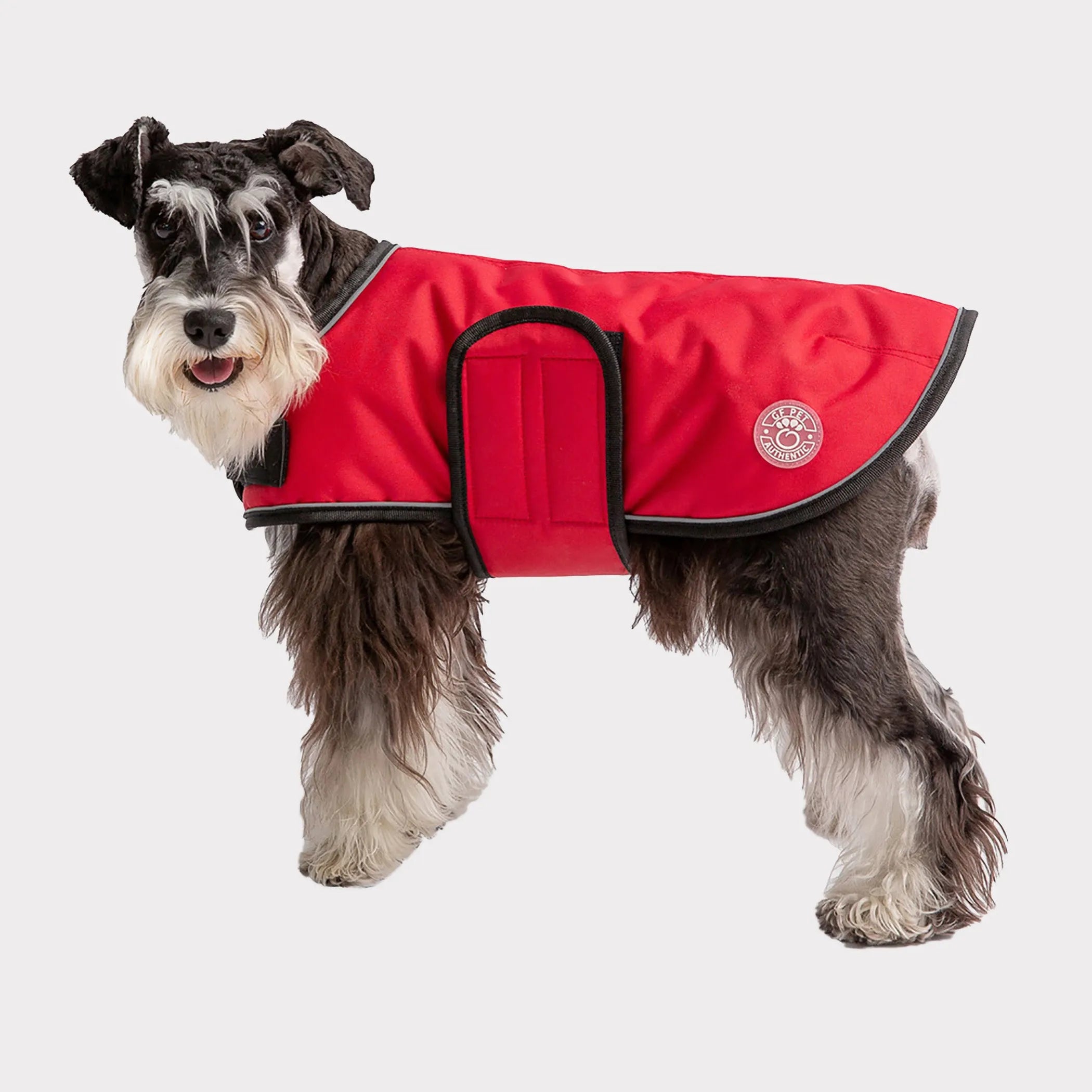 Dog wearing a red jacket with black trim