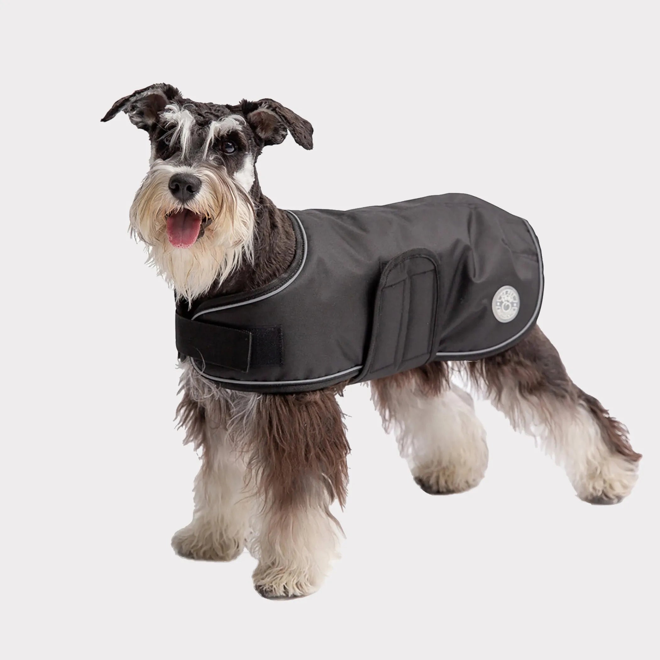 Dog wearing a black jacket 