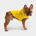 Dog wearing a yellow pet raincoat
