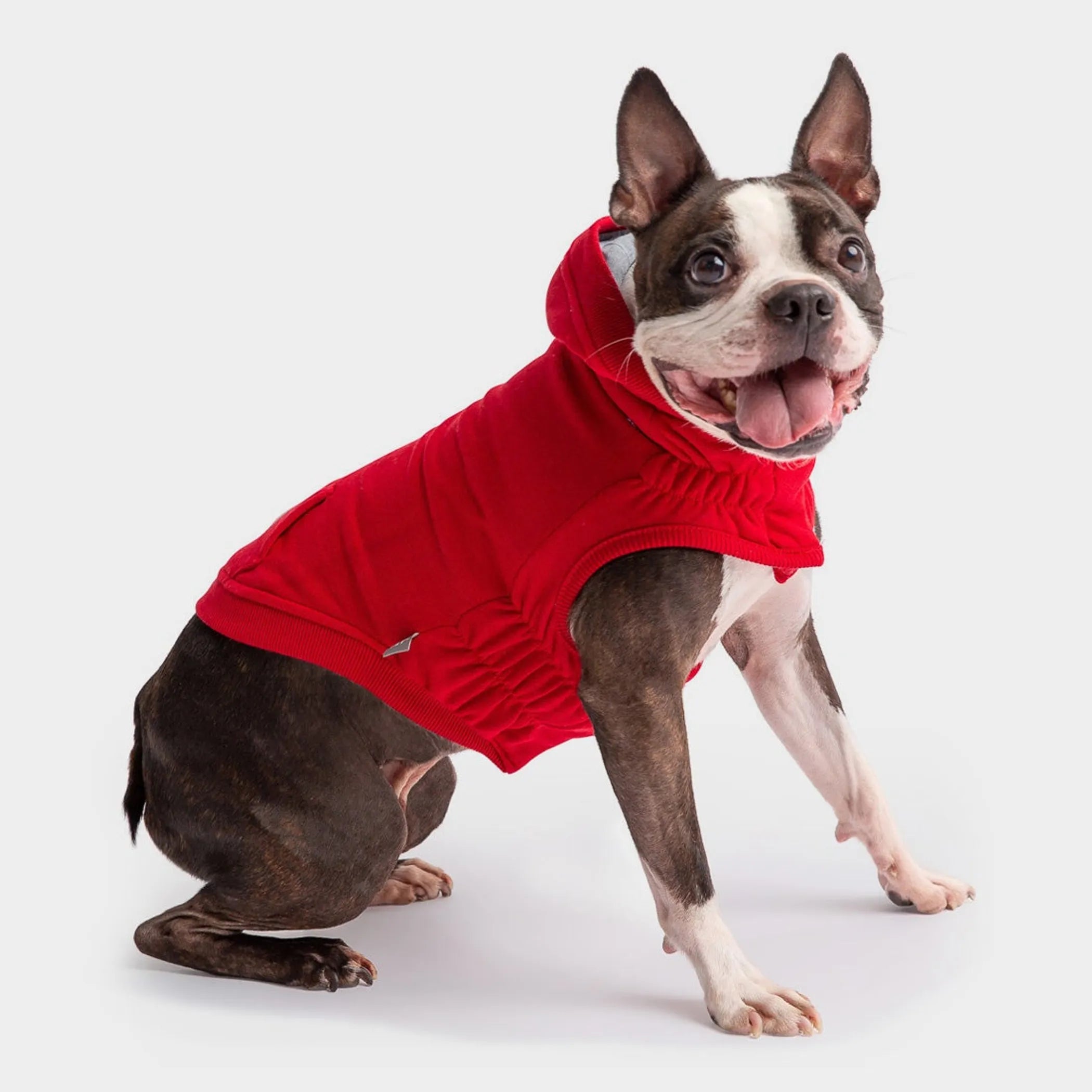 Dog wearing a red hoodie 