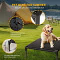 Black raised Pet bed for summer with a dog lying on it, surrounded by camping equipment.