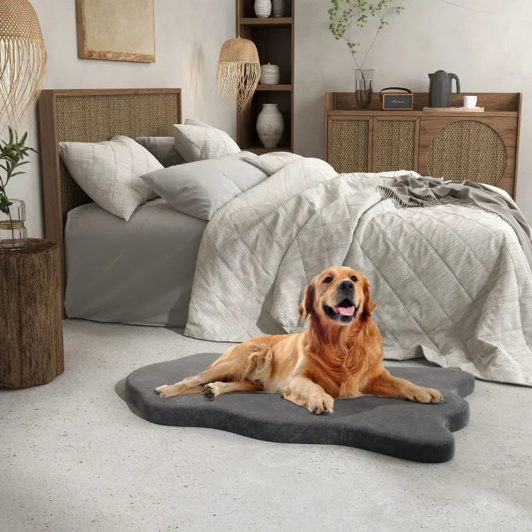 Dog lying on a paw-shaped pet bed in a bedroom with a bed and shelves in the background.