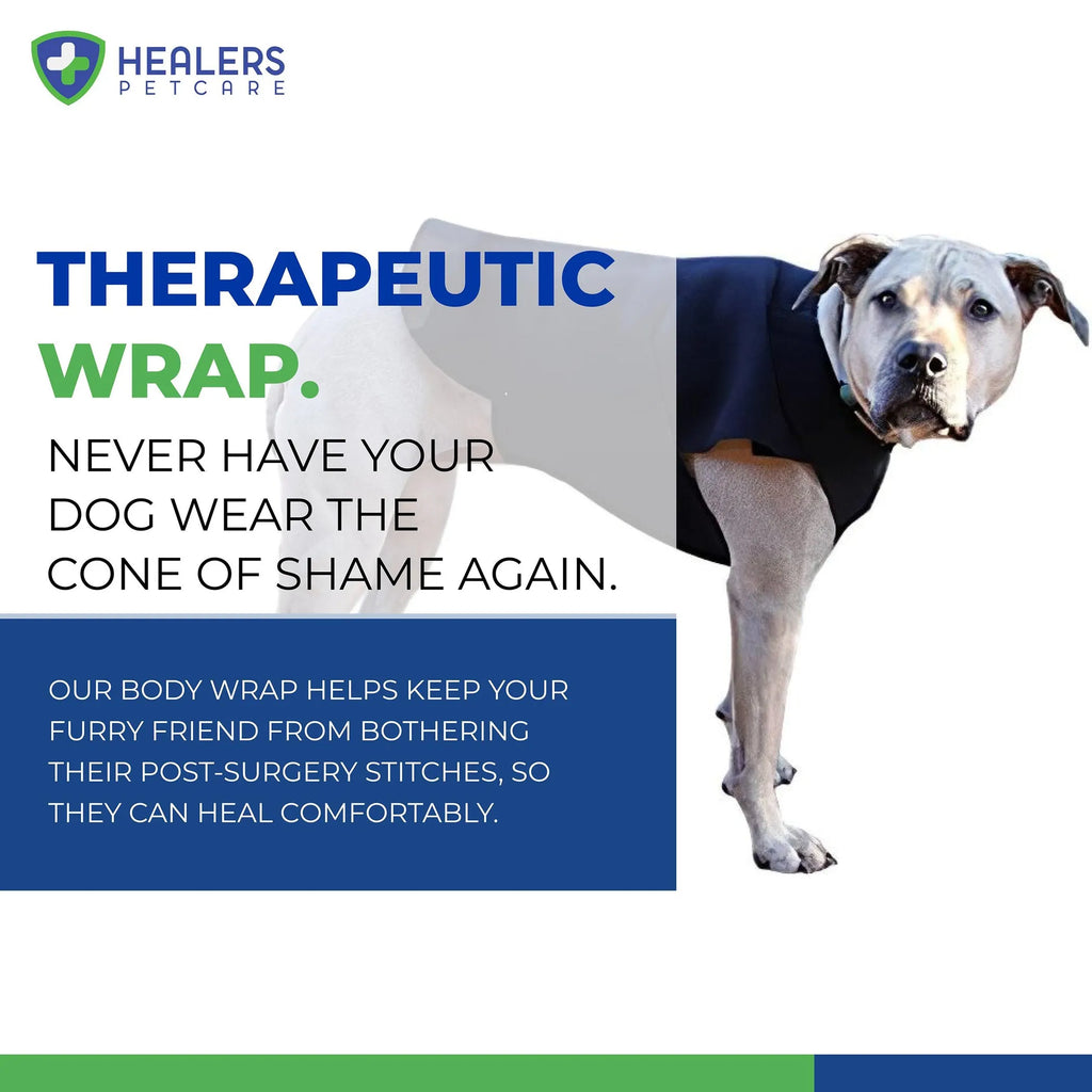 Dog wearing a therapeutic wrap with promotional text for Healers Petcare on a white background.