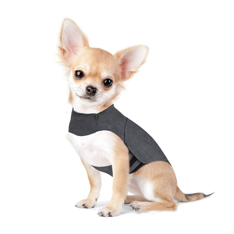 Small dog wearing a gray anti-anxiety vest
