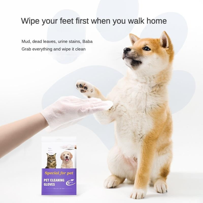 Dog paws being wiped by a gloved hand - product packaging visible.