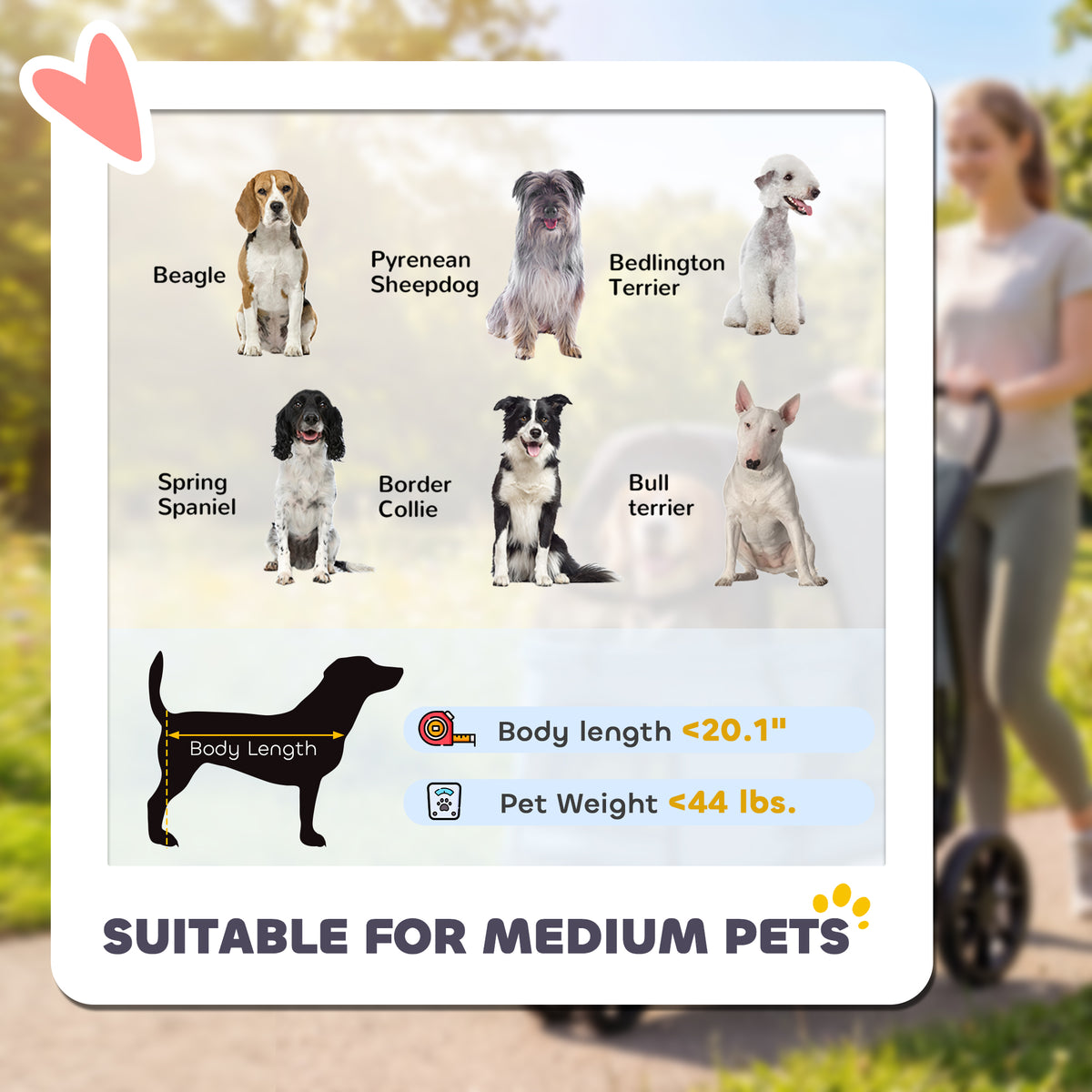 3 Wheel Pet Stroller with Easy One-Click Quick Fold - Gray or Green