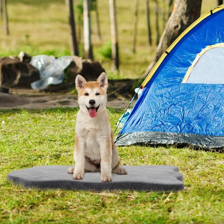 Dog sitting on a mat in front of a blue tent in a camping area.