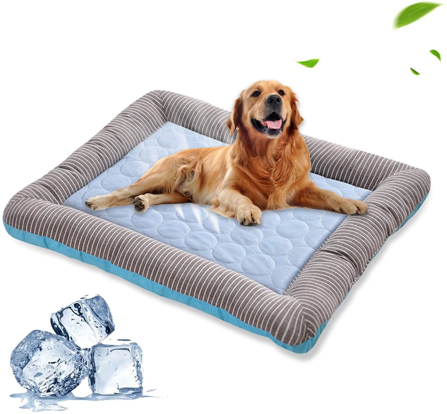 Dog lying on a gray cool gel pad with ice cubes in the foreground