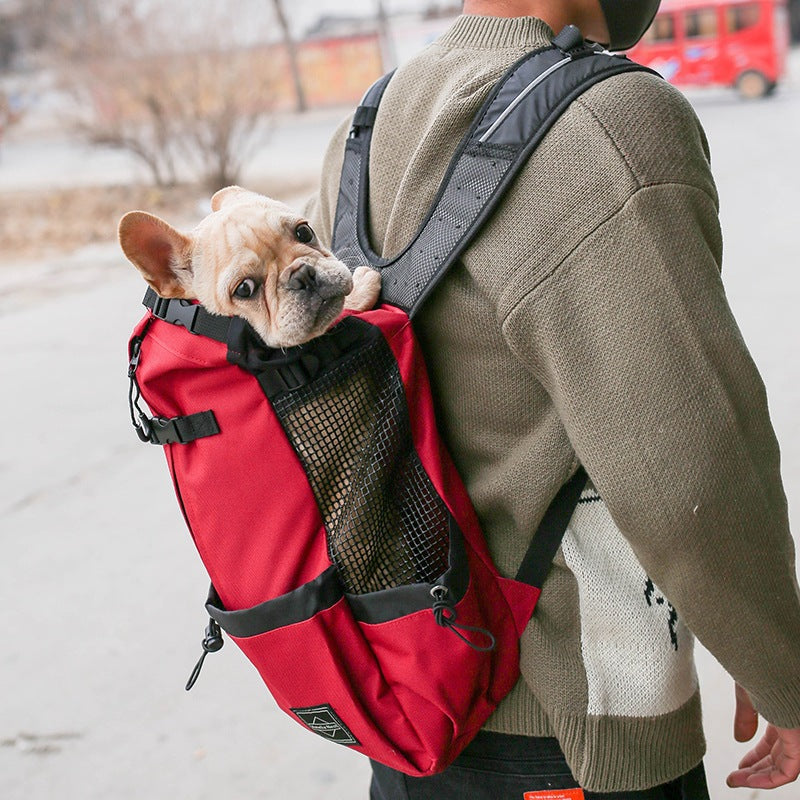 Man wearing a red backpack with a small dog peeking out, walking outdoors.