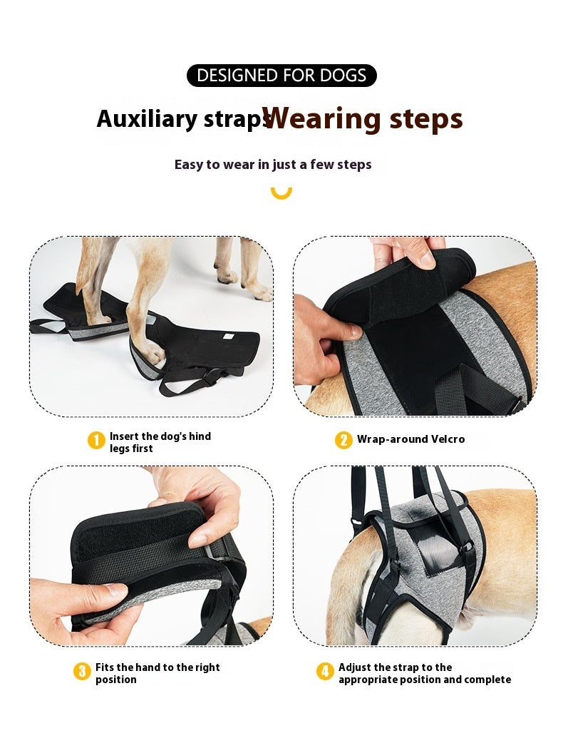 Instructions for using a dog strap with images and text