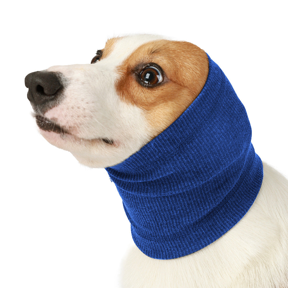 Dog wearing a blue knitted cowl 