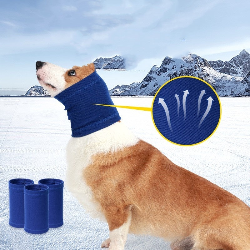 Dog wearing a blue pet cold weather neck warmer with mountains in background