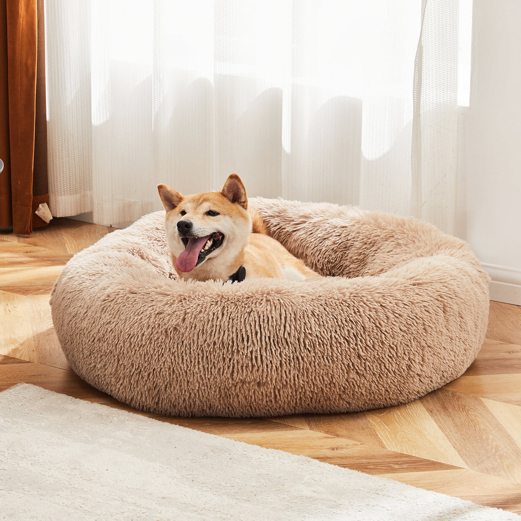 Dog lying on a round fluffy beige pet bed in a room