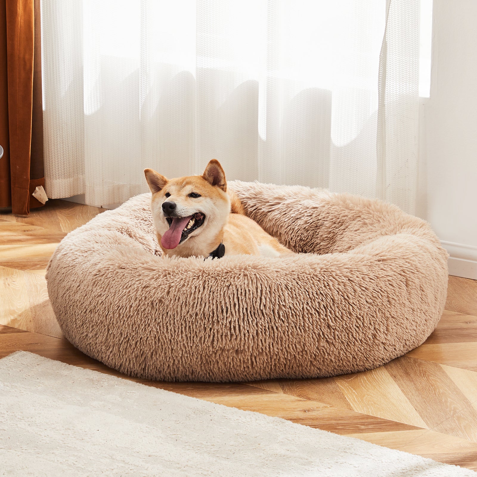 Dog lying on a round fluffy beige pet bed in a room