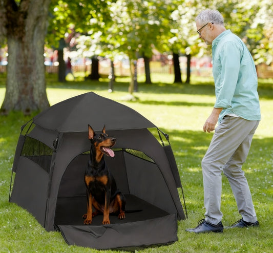 man standing beside a small black tent, with a brown and black dog sitting in tent, in a park setting