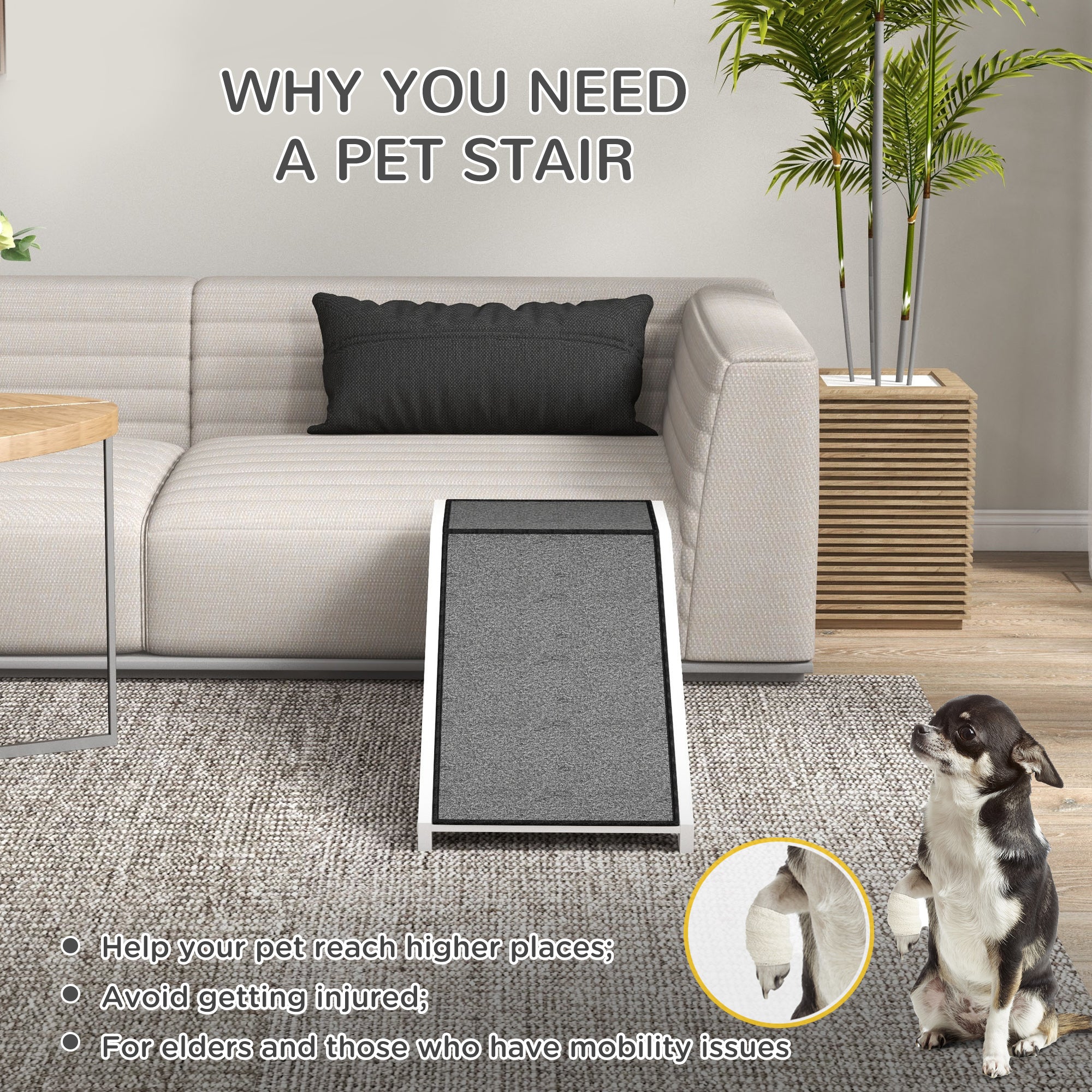 Pet ramp in a living room leading to a couch with a injured dog and text explaining benefits of ramp