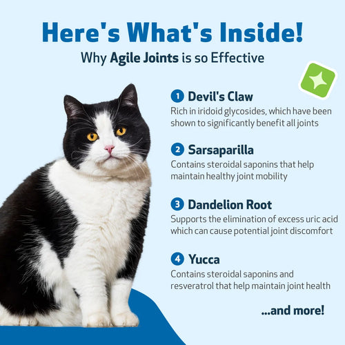 Agile Joints - Hip and Joint Health for Cats