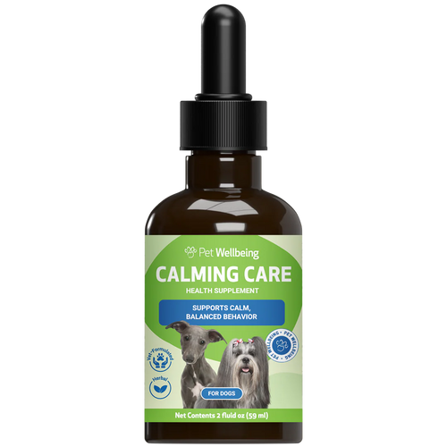  bottle of Pet Wellbeing Calming Care health supplement for dogs, featuring a dark amber glass bottle with a black dropper cap 